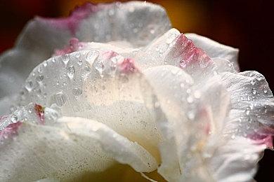 《GTA6》与前作对比视频：全面进化 画面超级棒